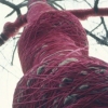 Tree Wrapping, Demerest, NJ