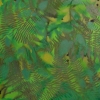 Elm I