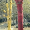 Tree Wrapping, Demerest, NJ