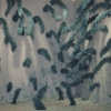 Blue Feather Wall