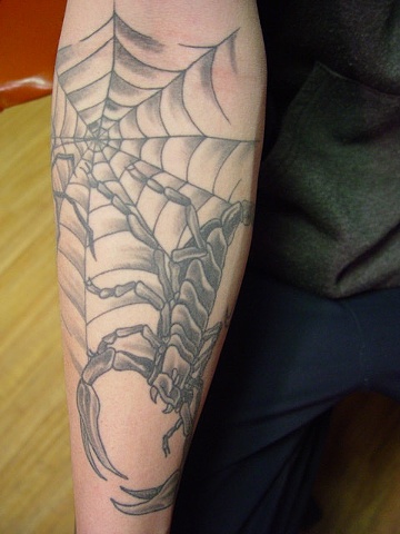 A start of his sleeve