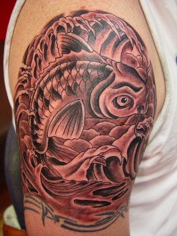Koi