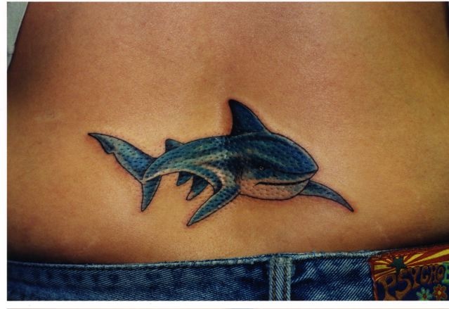 jaws