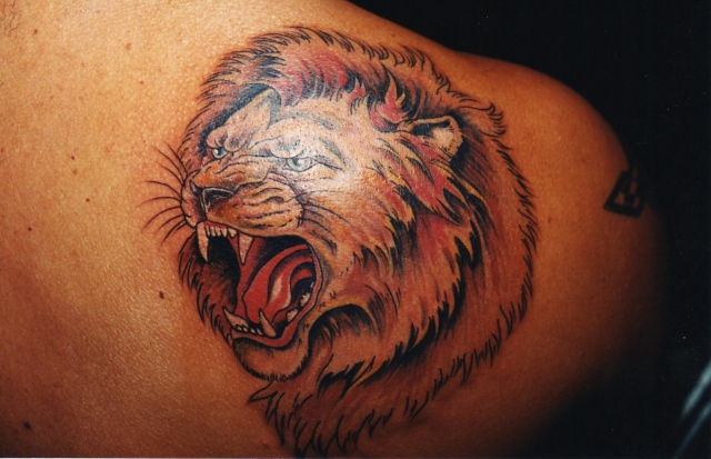 Nice Lion
