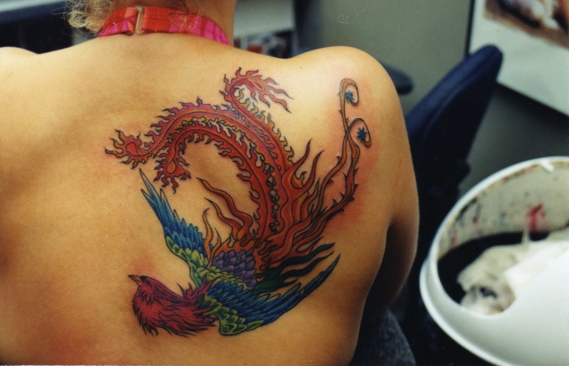 Pretty bird