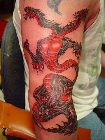 Futtin dragon