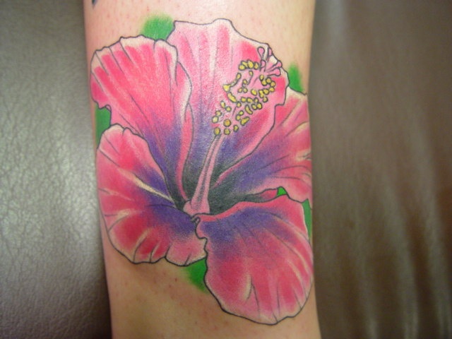 Hibiscus