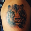 Tony the Tiger
