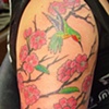Cherry blossoms on a pretty girl
