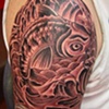 Koi