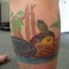 Anna's turtles
