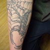A start of his sleeve