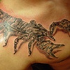 Scorpio
