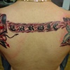 Dave's back
