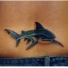 jaws