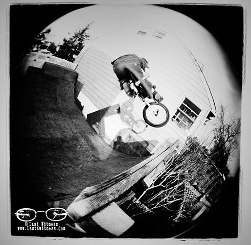 Shot with an ORIGINAL holga