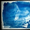 Cyanotype