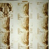 Van Dyke Brown created from my fathers  MRI xrays