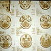 Van Dyke Brown created from my fathers  MRI xrays