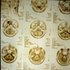 Van Dyke Brown created from my fathers  MRI xrays