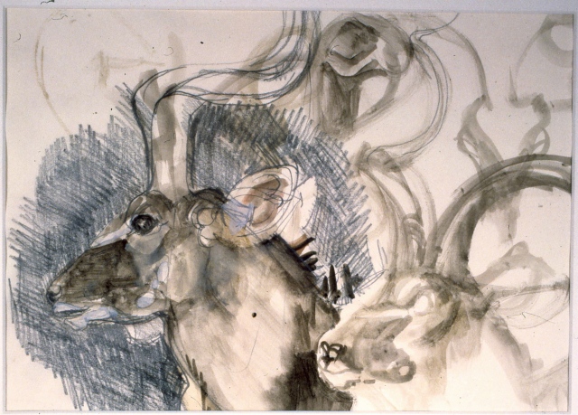 Kudu Head and Horns: Brookfield Zoo