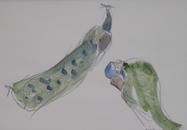 Two Peacocks