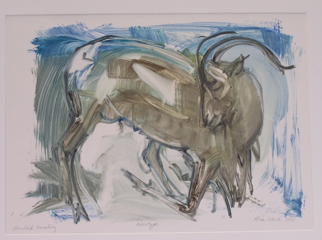 Aoudad Kneeling