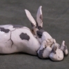 Mother Rabbit
