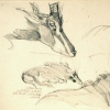 Drawings