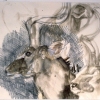 Kudu Head and Horns: Brookfield Zoo