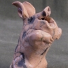 Singing Pig