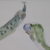 Two Peacocks