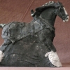 Shire in Harness