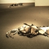 Fallen Sable #4
