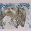 Aoudad Kneeling