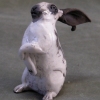 Sitting Rabbit