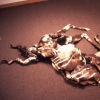 Fallen Kudu #3