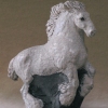White Shire