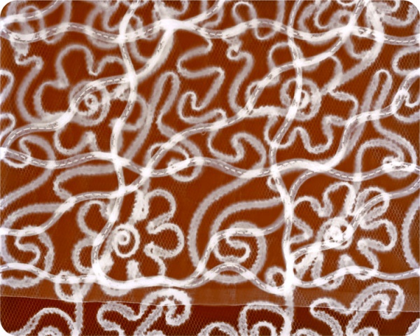 Lace Drawing three