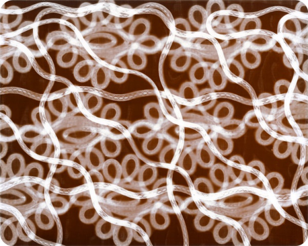 Lace Drawing four