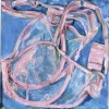 Shell Pink Brassiere