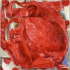 Scarlet Brassiere