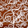 Lace Drawing three