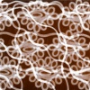 Lace Drawing four