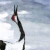 Cranes