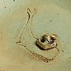 Whaling plates