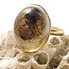 Colony Collapse, Real Bee Ring