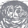 Barred Owl 