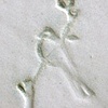 Logo Stamp, Bird Plates