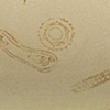 Dirty Dishes, Molded Dish